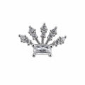 Crown Detail Stone Surgical Steel Ear Piercing